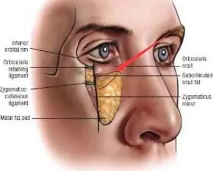 1698127103127636.jpg ef3c9ad36698d8e28fe17f3c89dbac2f_e06fea9150d97f27c2efc5a80a540d75.jpg