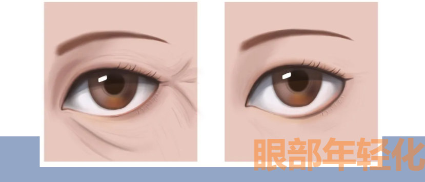 1699253472166329.jpg d4593019536f9daa2cabb331be3abae5_335868e846301523d2671ff2f4ec5bab.jpg