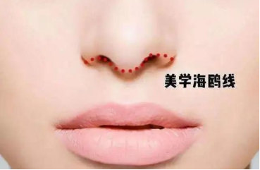 1702895619105586.jpg image.jpg