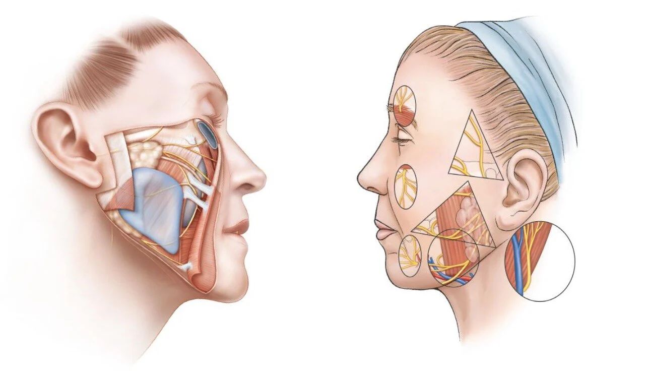 骨相美与皮相美，两者各有千秋，但在镜头前，究竟哪一种美更能脱颖而出呢？
